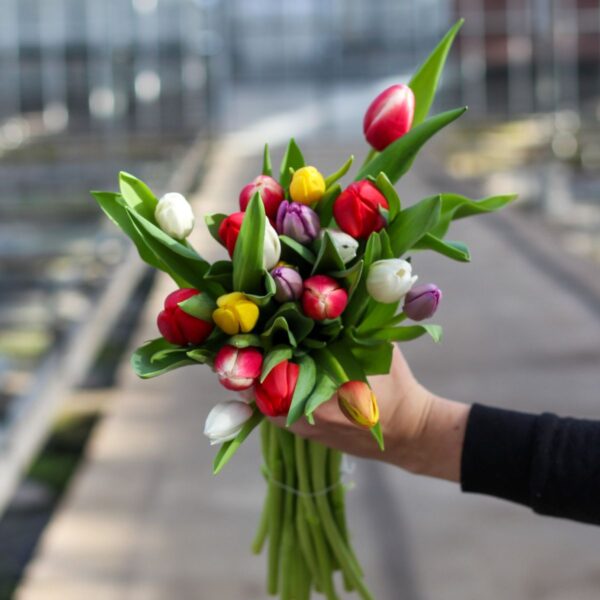 boeket bloemen verjaardag