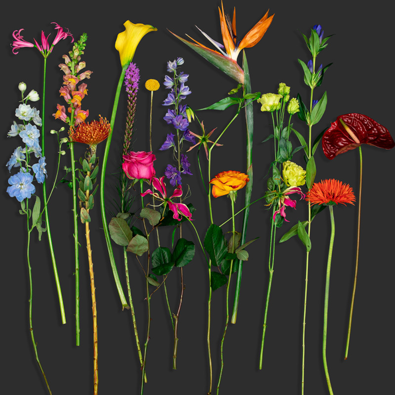 seizoensgebonden bloemen