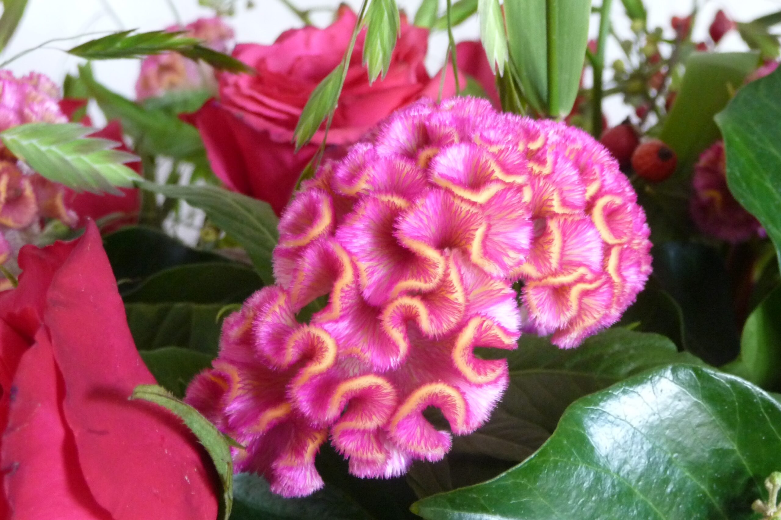 bijzondere bloemen