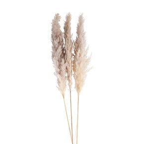 kunstbloemen xenos