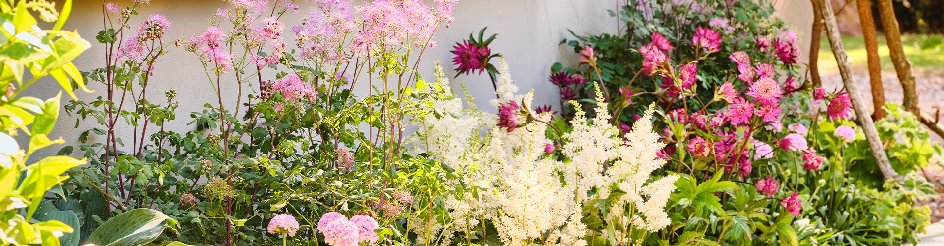 intratuin bloemen bezorgen
